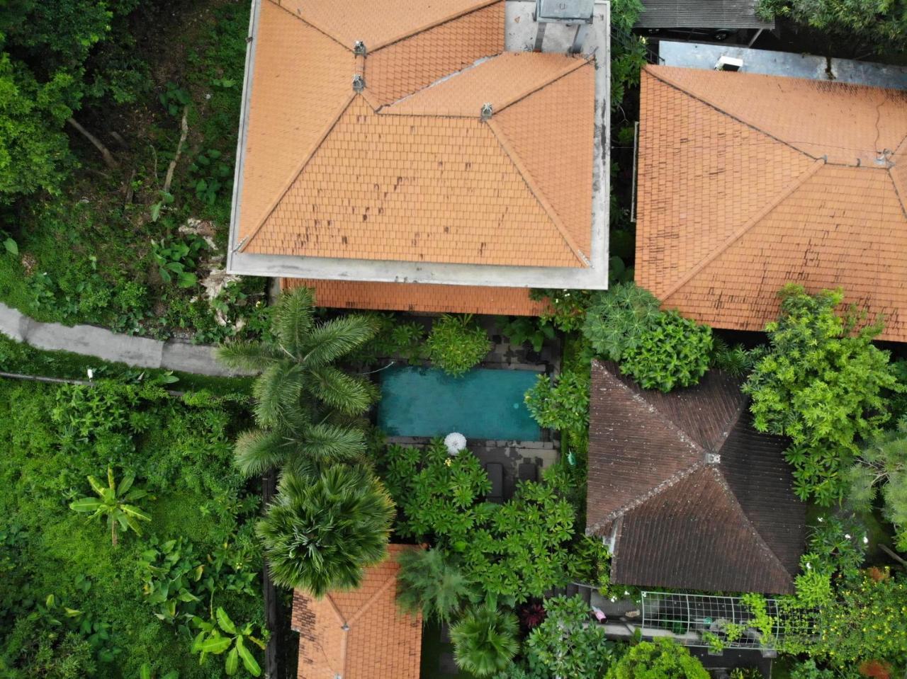 Jiwa'S House Hotel Ubud Buitenkant foto